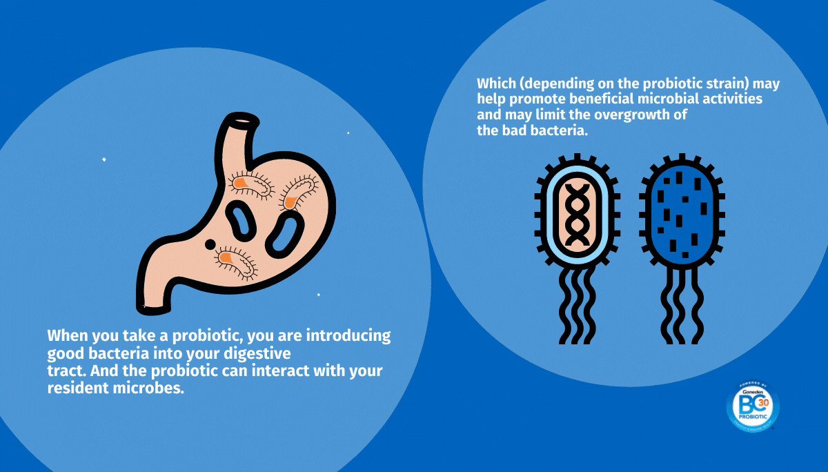 How do probiotics work image
